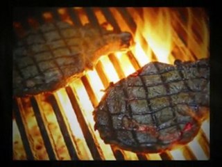 Noosa River Everglades Day Tours