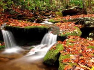 SABAHAT AKKİRAZ-DEĞME FELEK