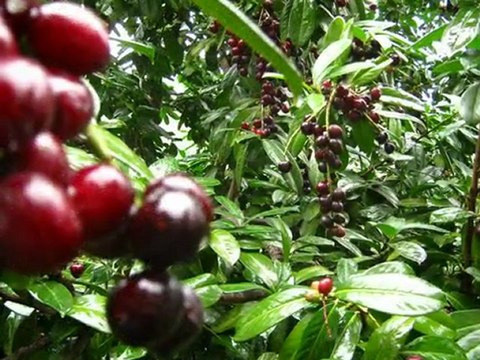 PhotoStory1 Deniz Üstünde Fener