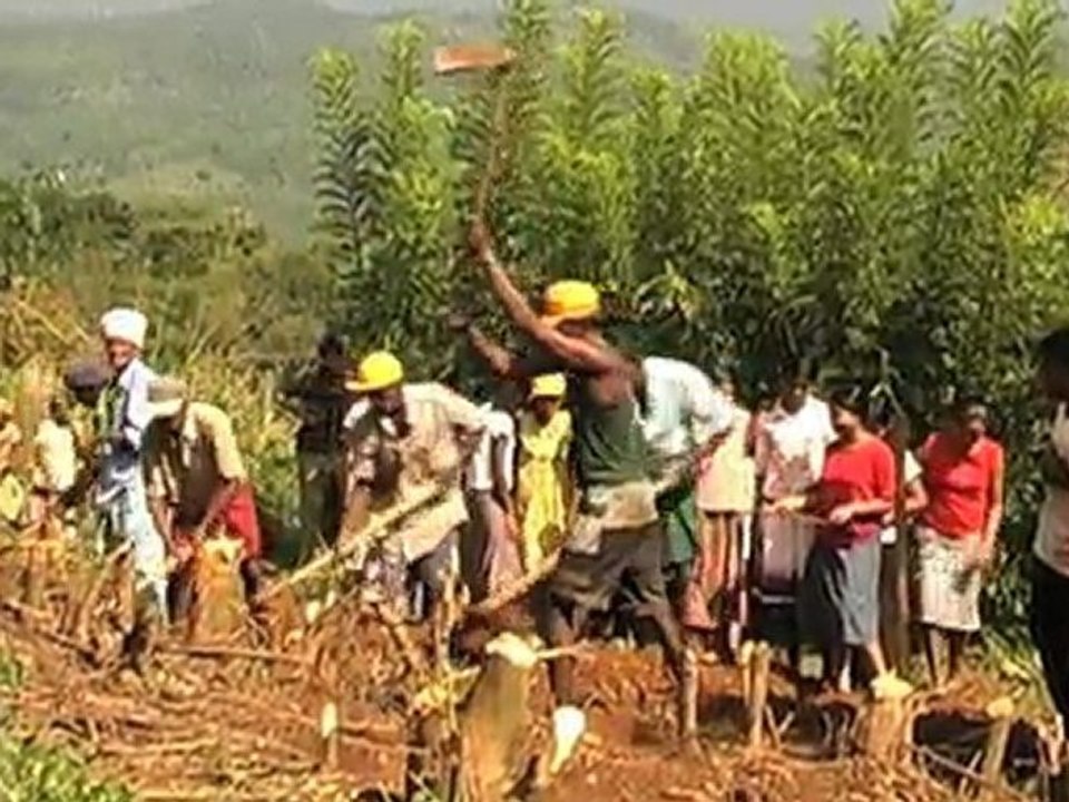 Sarvodaya Shramadana, vers une économie non-violente
