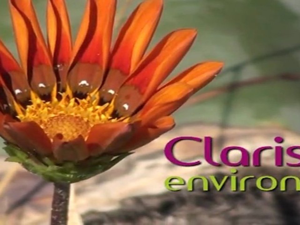 CLARISSE Environnement