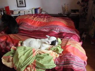 Gilda cherche Olga autour du lit 5 oct 2011