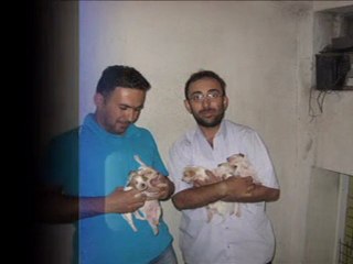 HERA Mission: Exploring the Universe 🌌