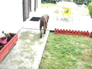 repas du 7 octobre (1ere partie)