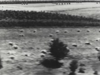 Accrochage "Histoire de l'Atelier Brancusi" du 27 janvier 2010 au 7 novembre 2011