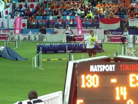 Chien d'eau espagnol PUNK CDM d'agility Lievin 2011