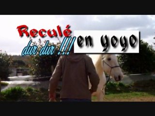 Radja travail du 071011 (La Cense)