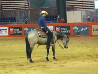 Reining