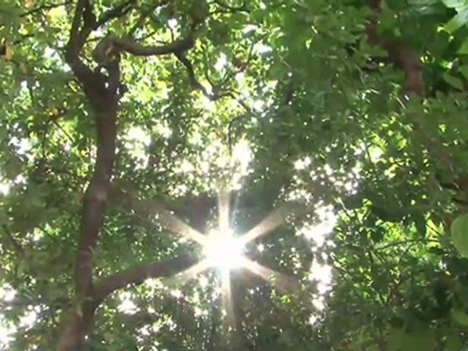 Sitgesonline - Website Hosting