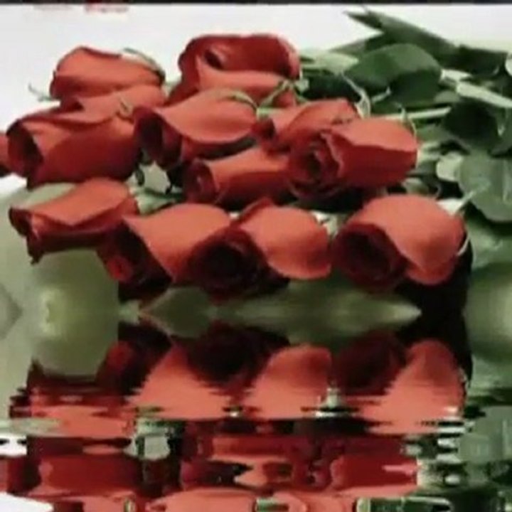 MEHMET ALİ ARSLAN Grup @ harika aşk şarkısı süper videolar