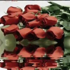 MEHMET ALİ ARSLAN Grup @ harika aşk şarkısı süper videolar