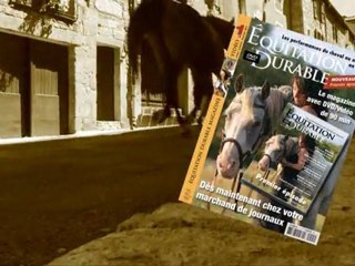 HYKSÔS / Au-delà des limites terrestres…