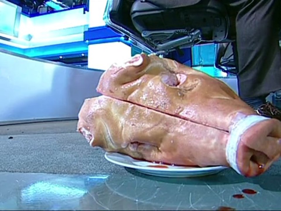 Tusk et Kaczynski bataillent au sommet, Palikot veut créer la surprise