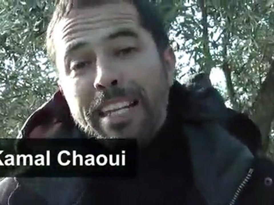 L'or de Bhalil. Les Olives   De la cueillette à l'huile - YouTube