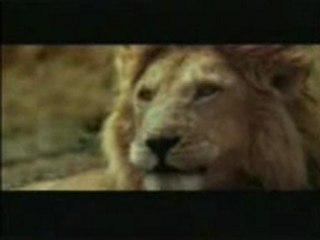 I pericoli della savana