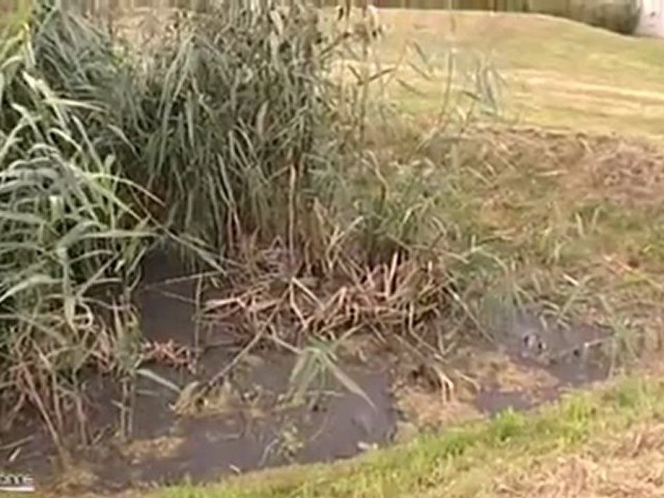 Station d'épuration d'eaux high-tech à Briis-sous-Forges