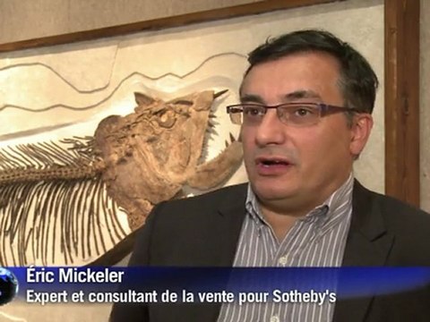 Des dinosaures vedettes mis en vente chez Sotheby's à Paris