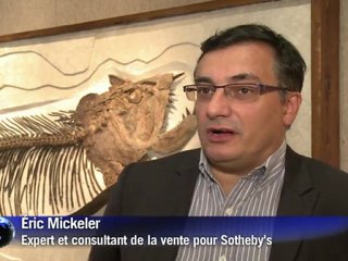 Des dinosaures vedettes mis en vente chez Sotheby's à Paris