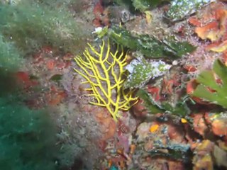 Tabarka ...Unforgotable Heaven.....Tabarka Land of  Dream