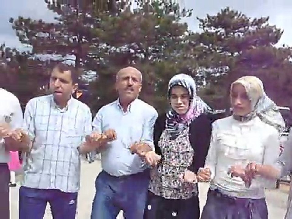 vasder 2011 piknik şöleni (3)