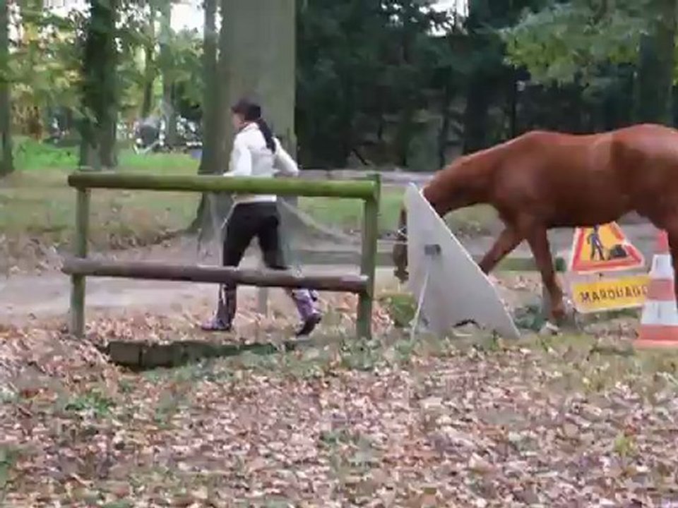 entraînement pont aller