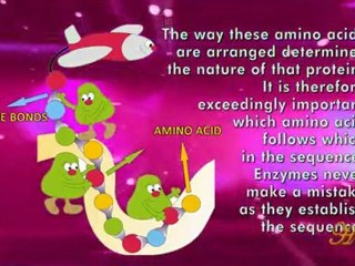 Protein synthesis in the cell is a miracle