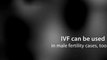 Infertility Specialist Scottsdale talks about in vitro fertlization (IVF) Approach