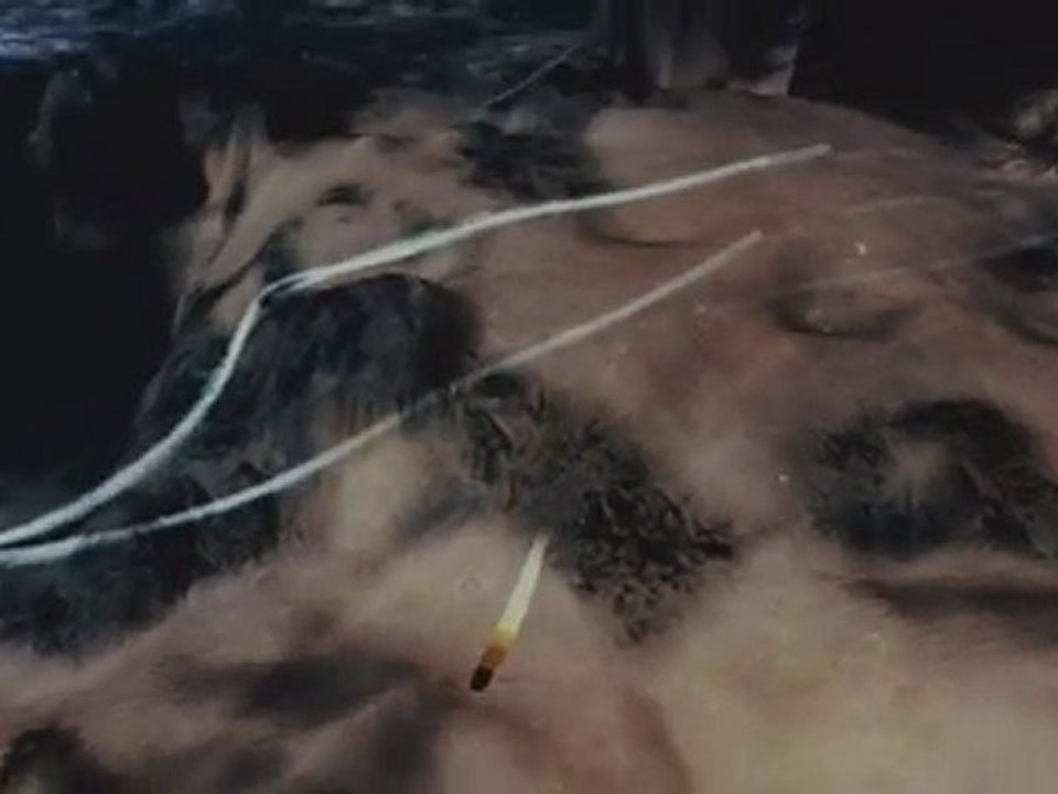 [Preview] From Dust