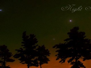 Night Skies