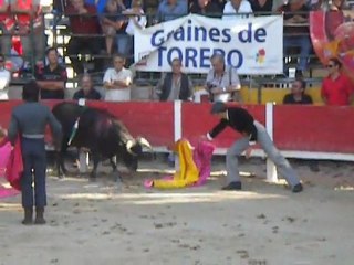 Graine de toréro 2011 Manduel... agonie en spectacle
