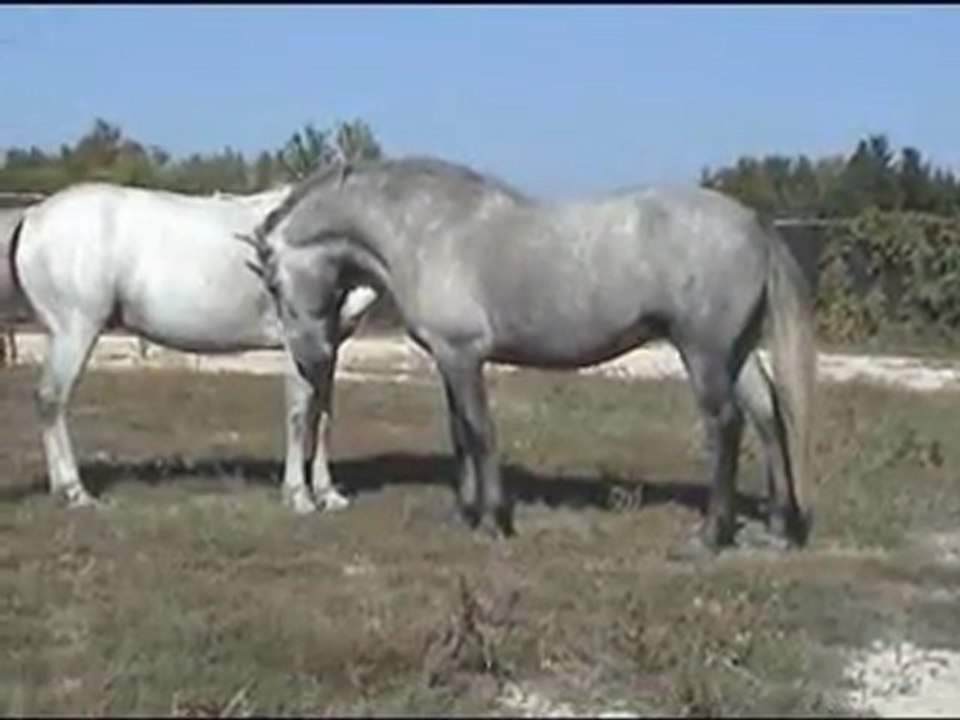 vatchak2 sept2011