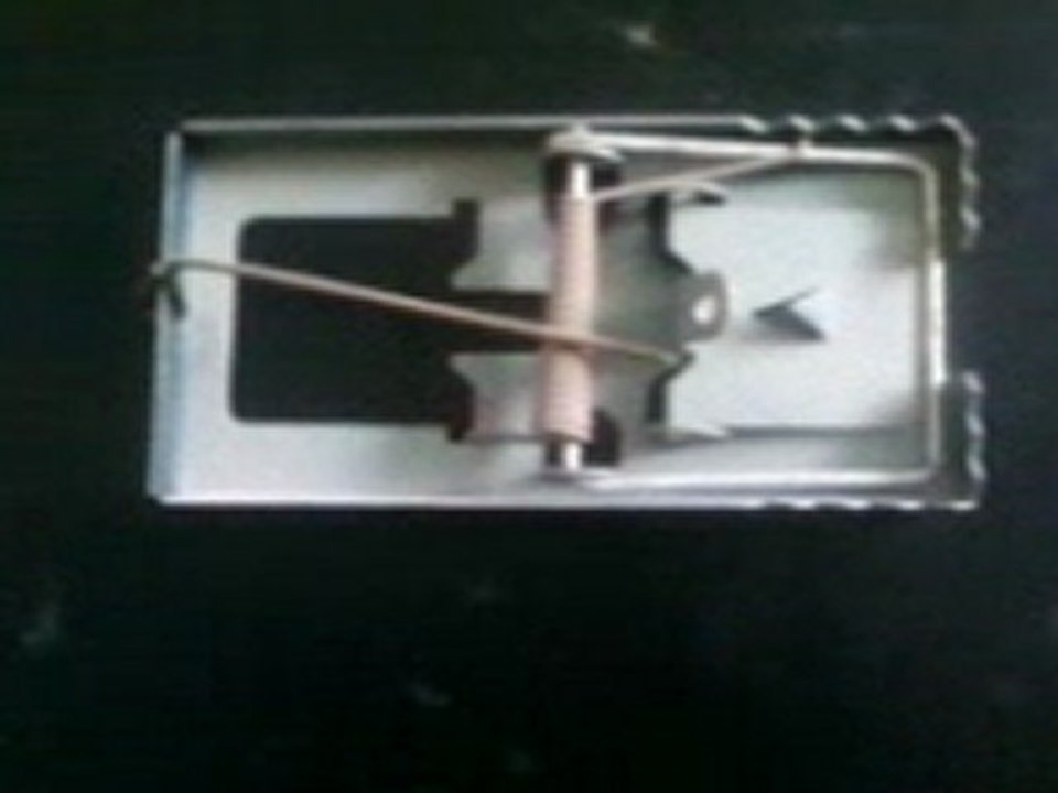piège pour souris lessouda sidi bouzid tunisie (1)