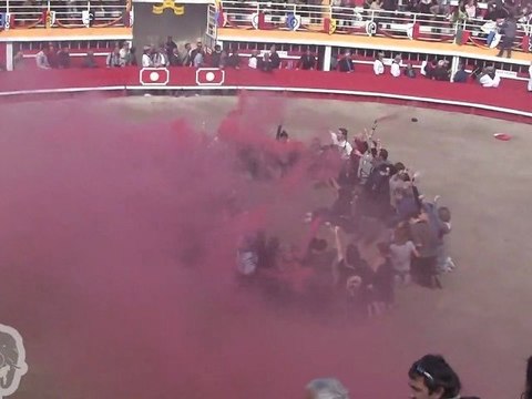 Rassemblement anti corrida arène rodilhan (08.10.11)