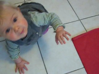 louanne quatre pattes