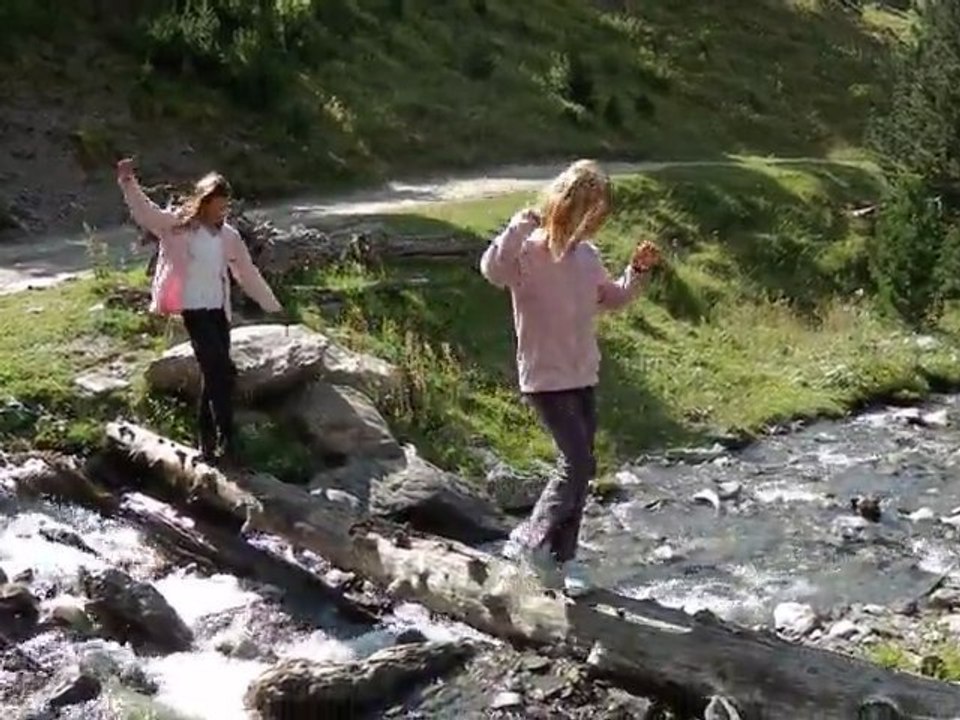 Arbre pont pyrennees
