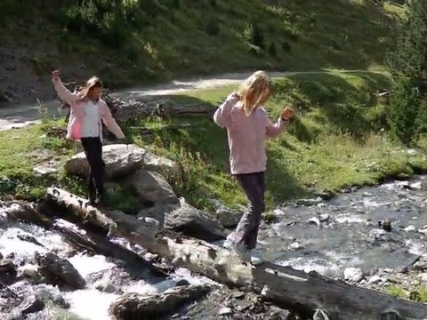 Arbre pont pyrennees