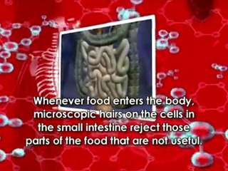 Some of the processes that take place within the body in a matter of seconds