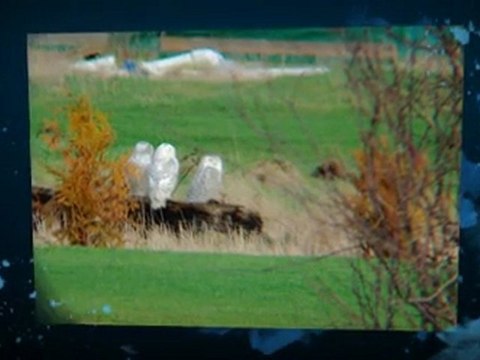 Bushnell Tour V2 Golf Laser Rangefinder - Review Top deal