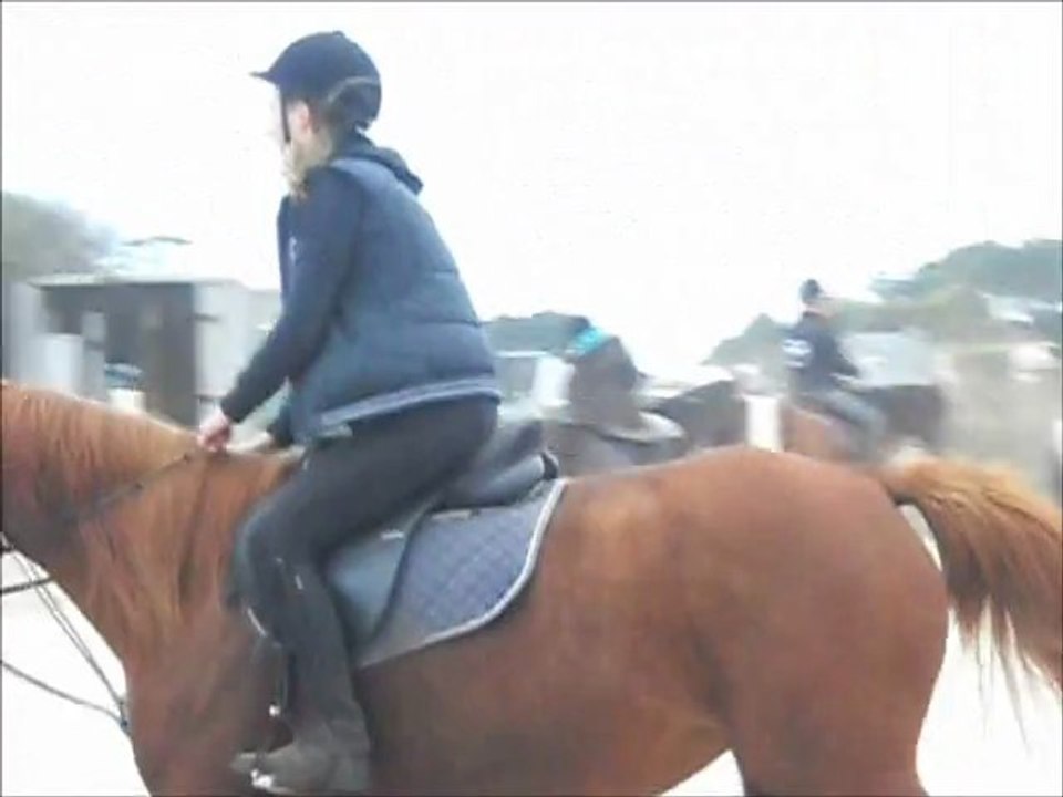 Samedi 8 Octobre 2011.. Fée..