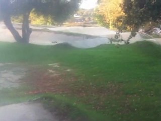 Sauts en e-revo brushless terrain de bmx lorient