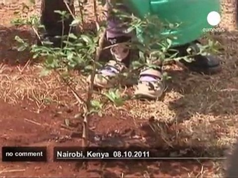 Nobel laureate Maathai's coffin moved to to... - no comment