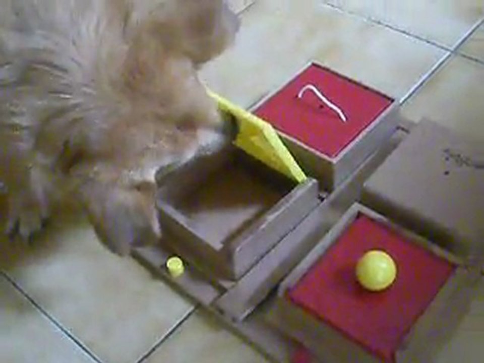 Drako, jeux d'intelligence 3ème