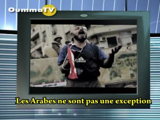 La seconde renaissance du monde arabe