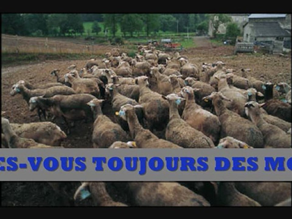 PRESIDENTIELLES 2012 - VIDEO 1