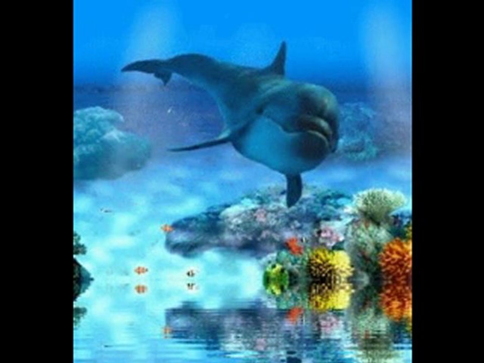 Sans titre_20111009_190336