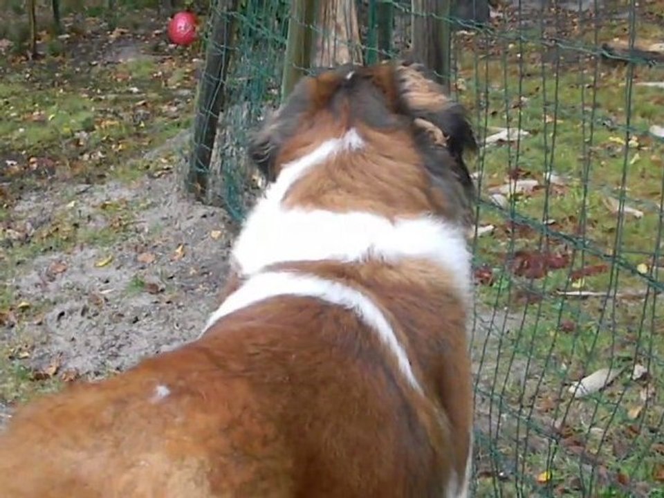 mon gros  d amour !!!!