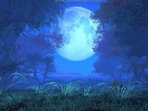 Bir Tek Seni Sevdim Gerisi Yalan