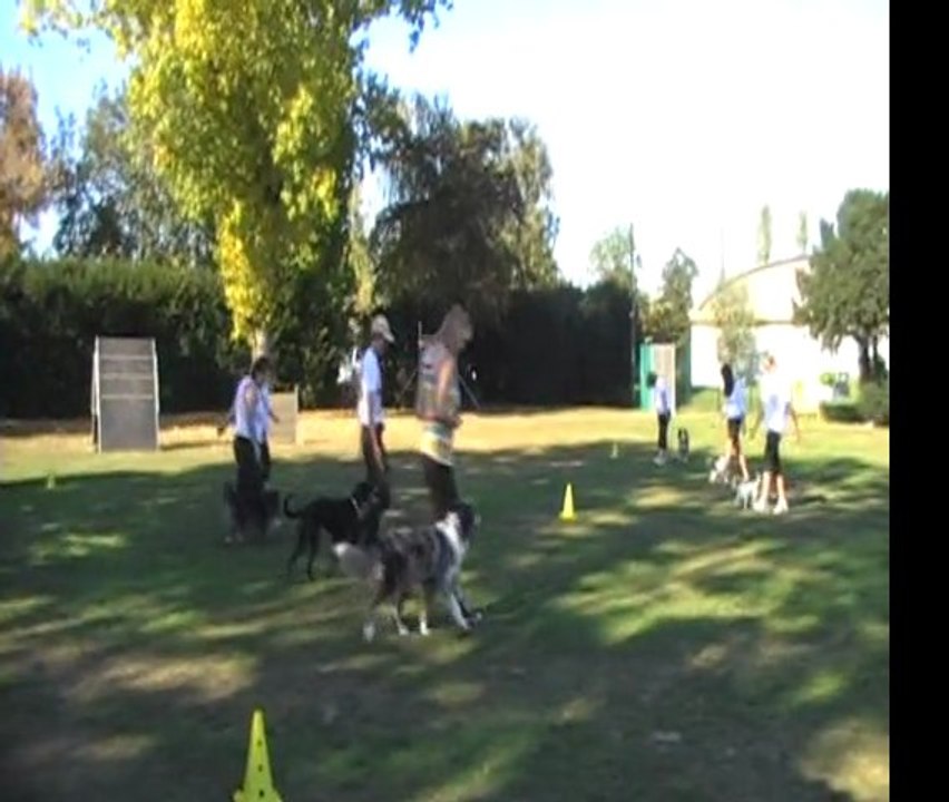 help myself fete club 2011