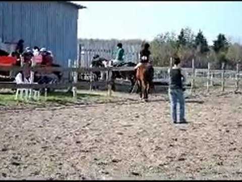 dressage pas & trot avec Jane . premiere place ! :)