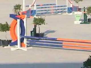 GALANT D´UN SOIR JULIO 2011